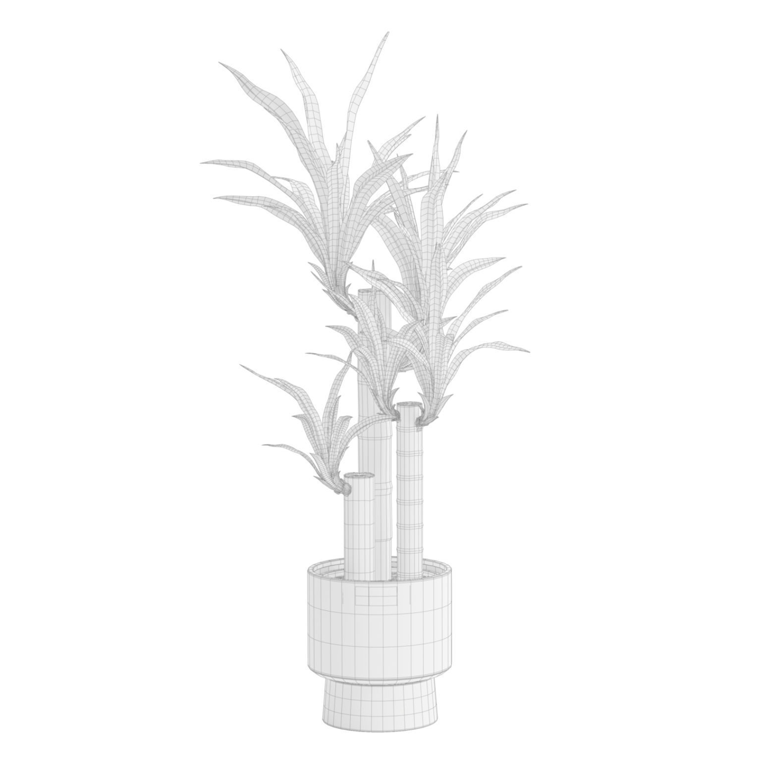 Indoor Plants Pack 51 3D model_8