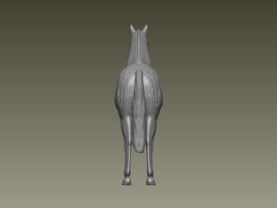 Horse 3D print model_15