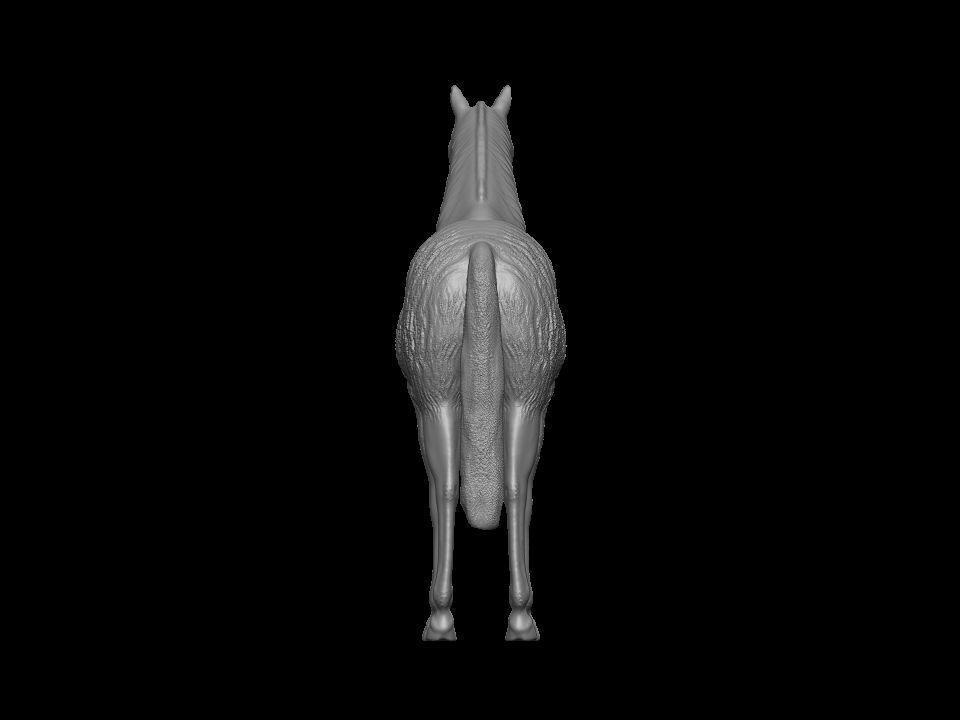 Horse 3D print model_3