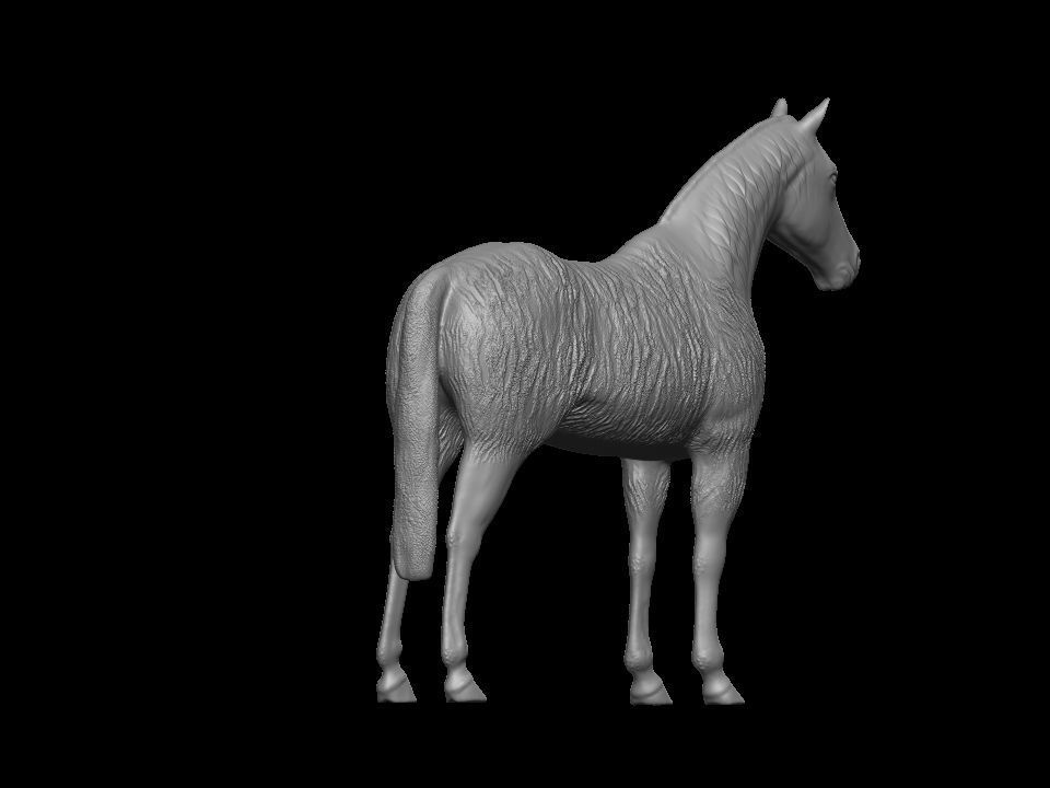 Horse 3D print model_5