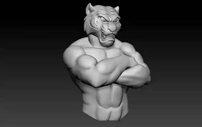 Muscles tiger