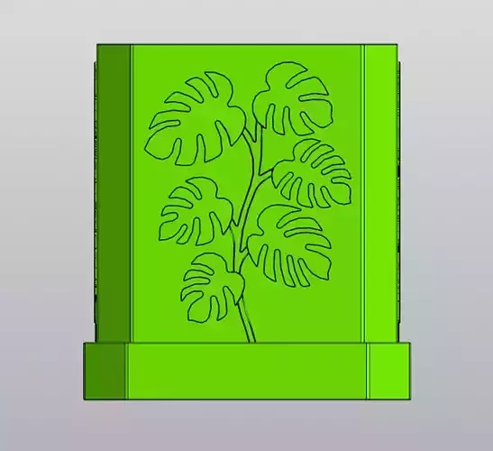 Monstera plant Planter