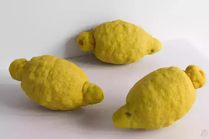 Lemon 3D model