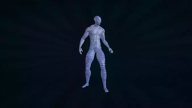 AVTR-002 Avatar Idle Animation