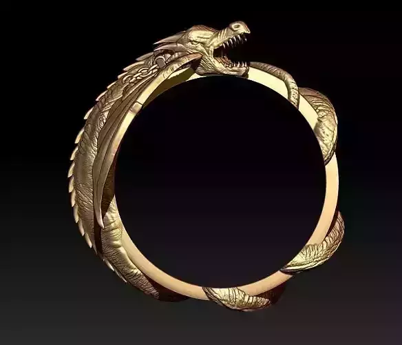 Dragon ring 