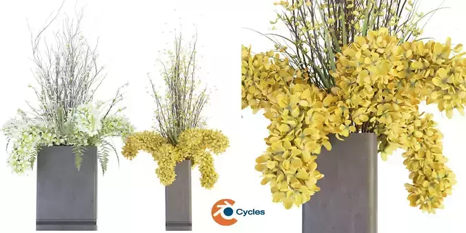 Collection plant vol 56 - blender model 