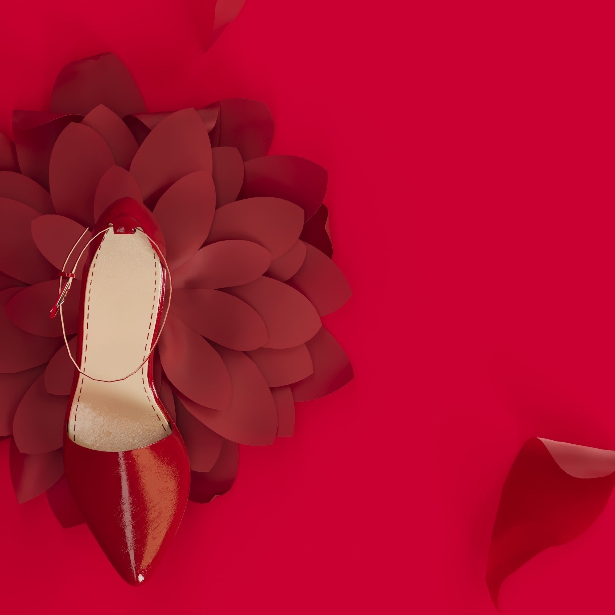 3 Models of High heels and a pair of Flat shoes 3D print model_12