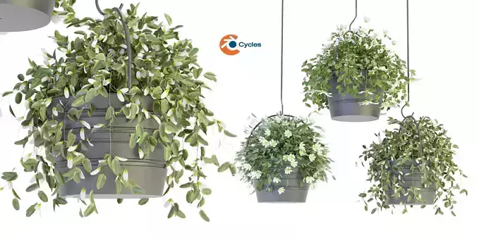 Collection plant vol 66