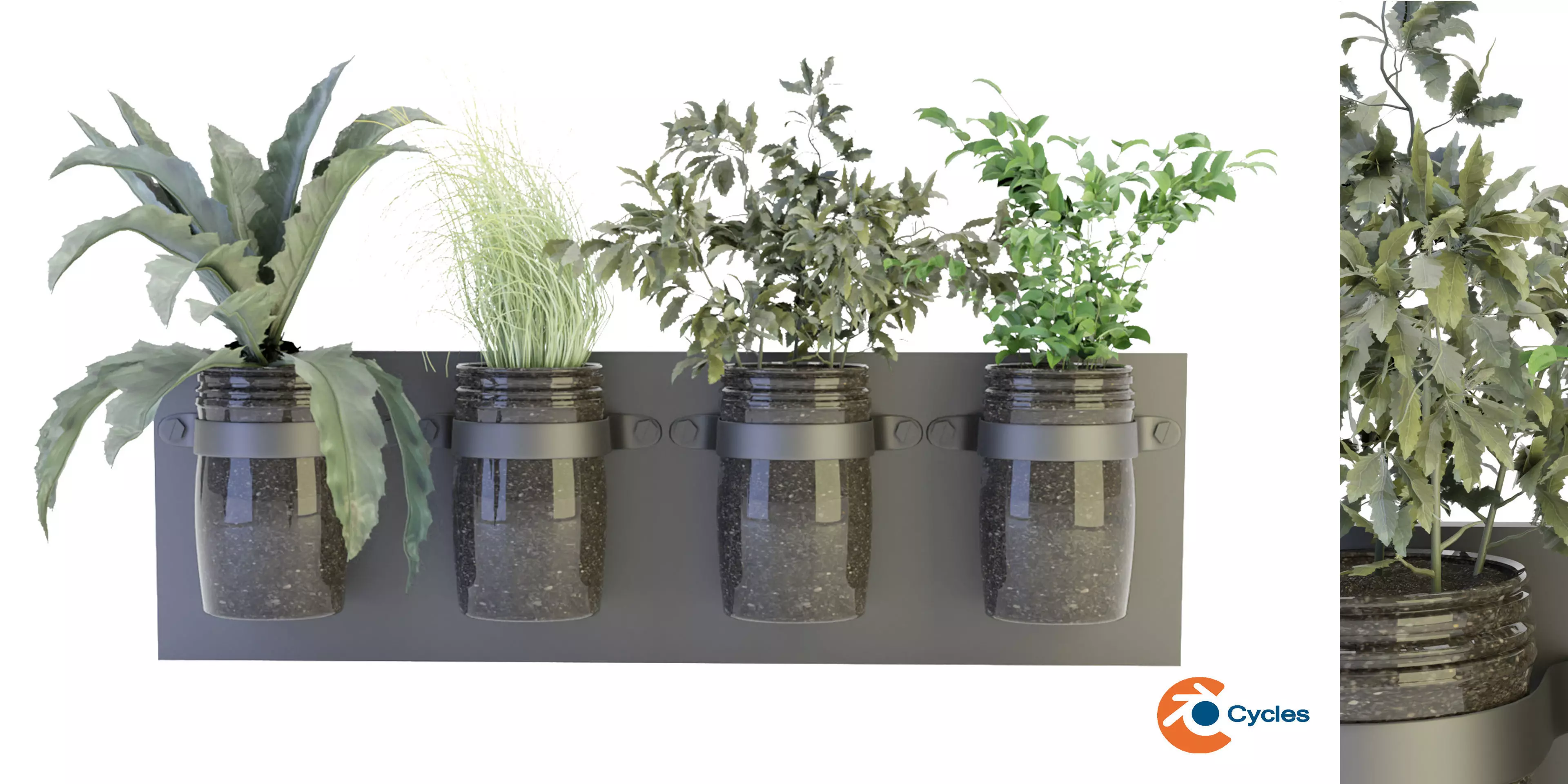 Collection plant vol 67 3D model