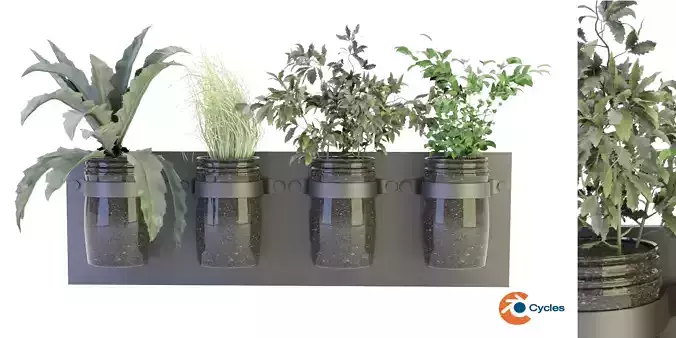 Collection plant vol 67