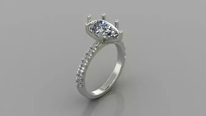 101 Engagemet Wedding ring