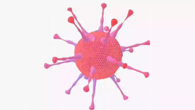adeno virus 3D model