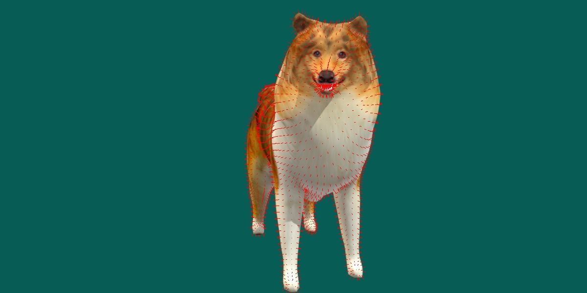 Rough Collie Dog Low-poly 3D model_11