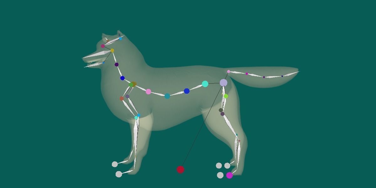 Rough Collie Dog Low-poly 3D model_3