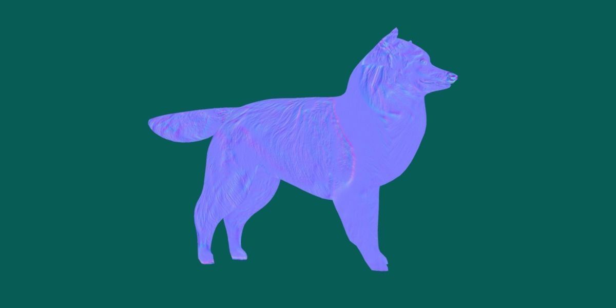 Rough Collie Dog Low-poly 3D model_7