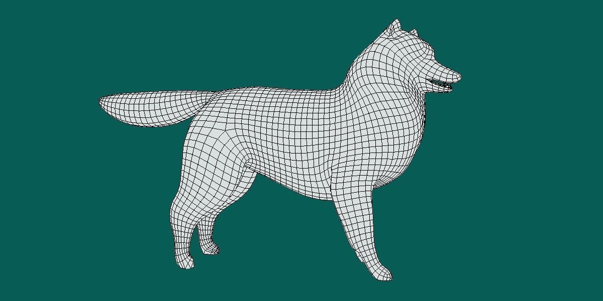 Rough Collie Dog Low-poly 3D model_10