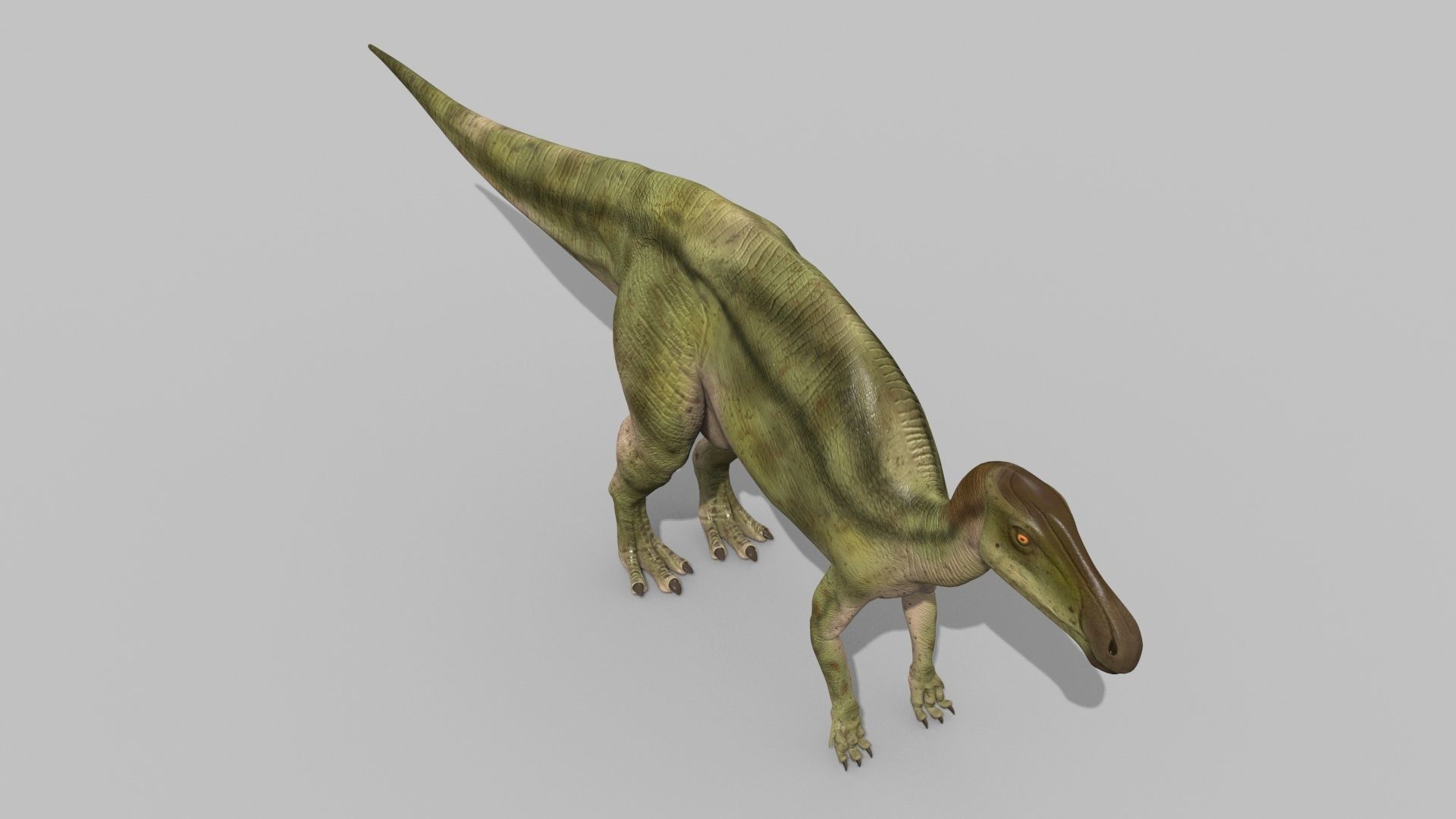 Edmontosaur Lives 8K - 3d animated model 3D model_5