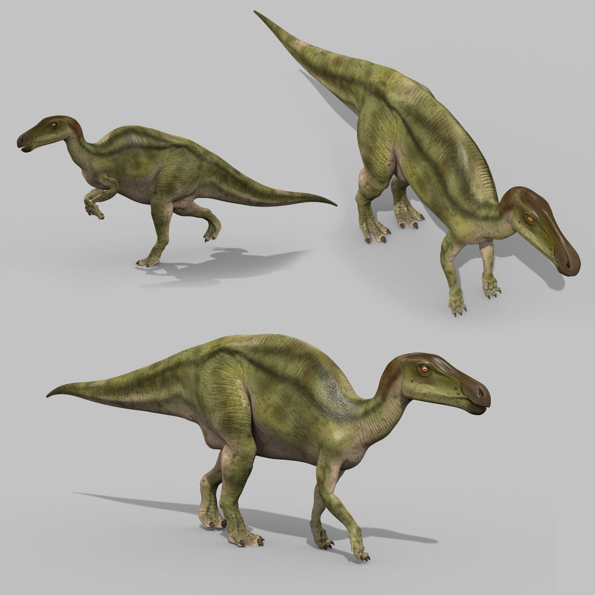 Edmontosaur Lives 8K - 3d animated model 3D model_2
