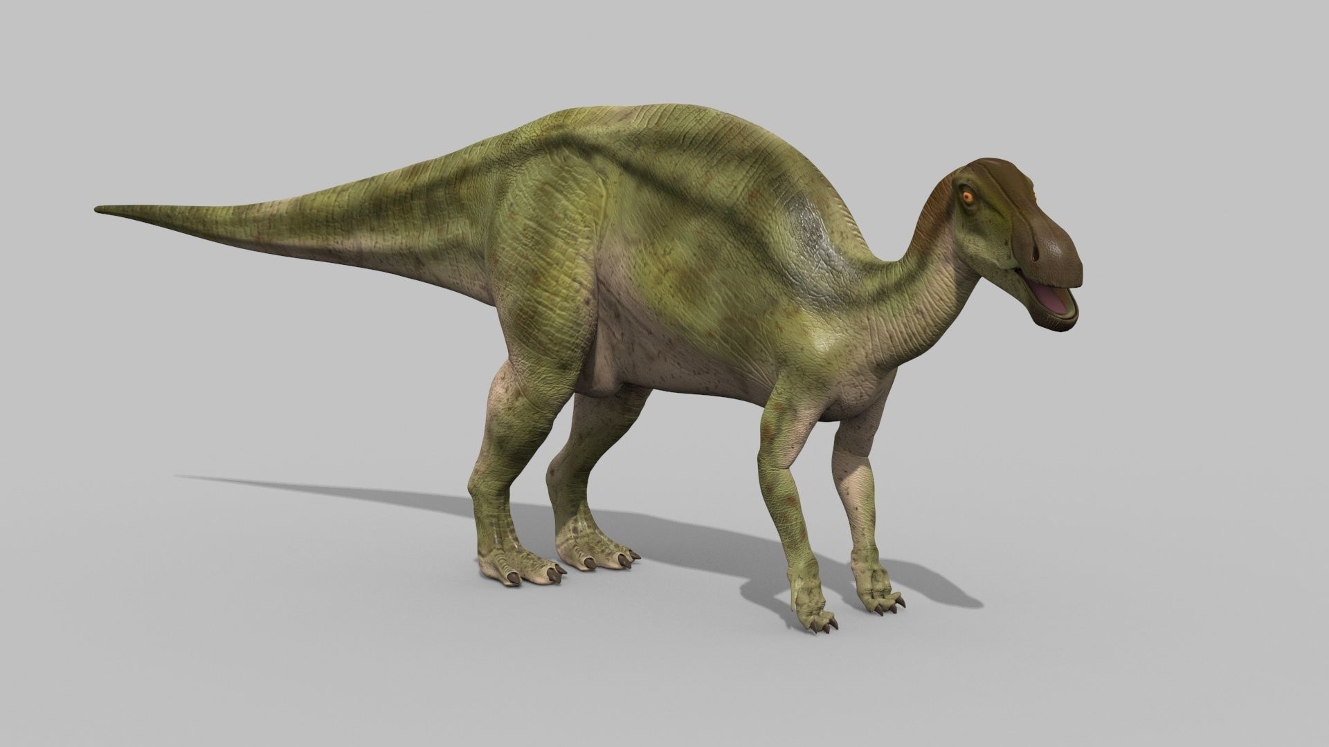 Edmontosaur Lives 8K - 3d animated model 3D model_8