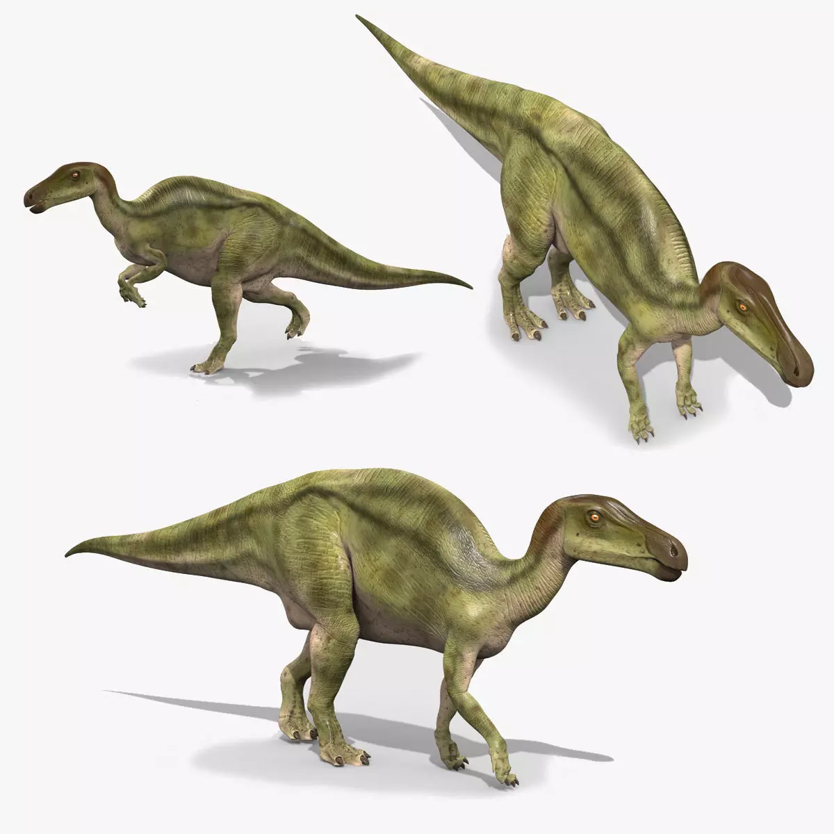Edmontosaur Lives 8K - 3d animated model 3D model_0