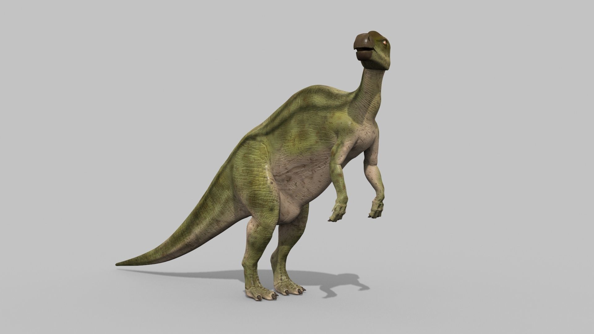 Edmontosaur Lives 8K - 3d animated model 3D model_11