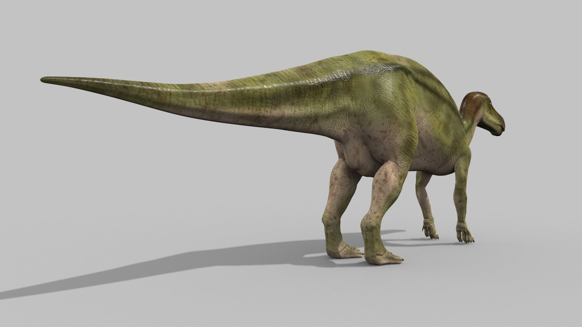 Edmontosaur Lives 8K - 3d animated model 3D model_6
