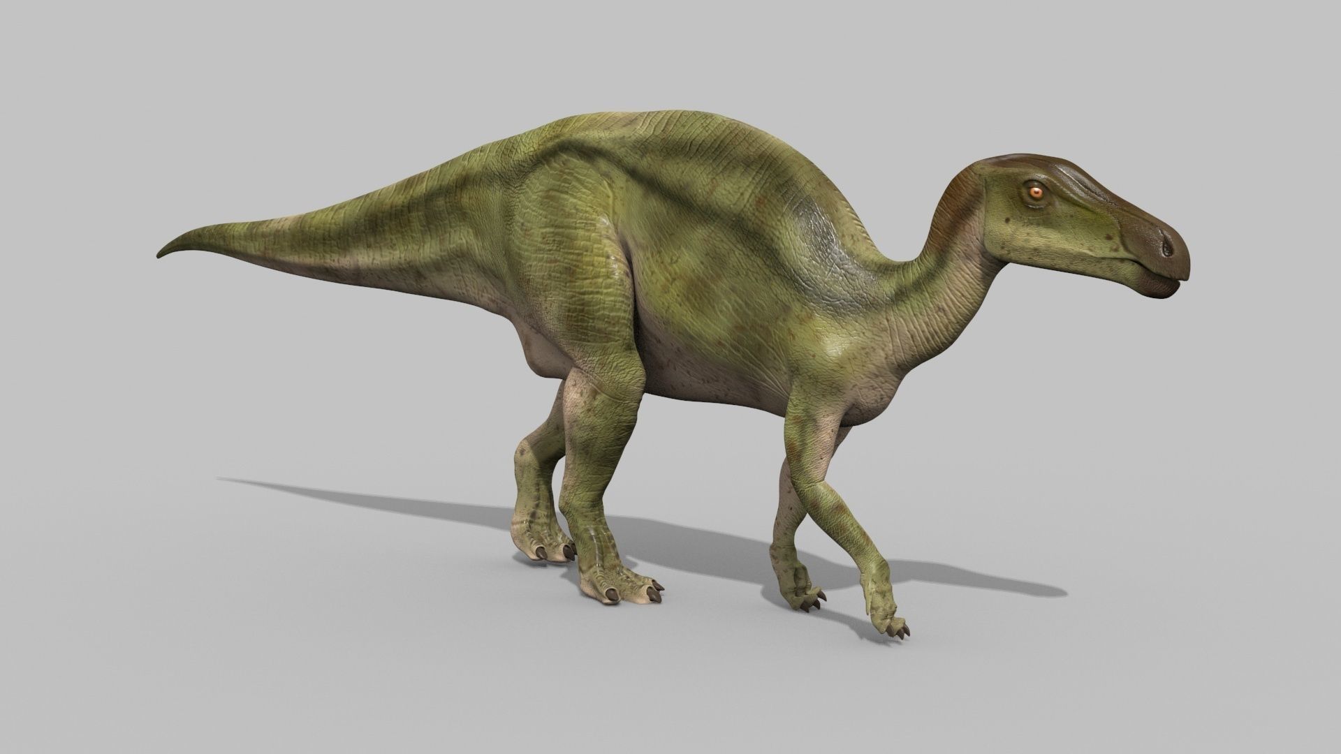 Edmontosaur Lives 8K - 3d animated model 3D model_9