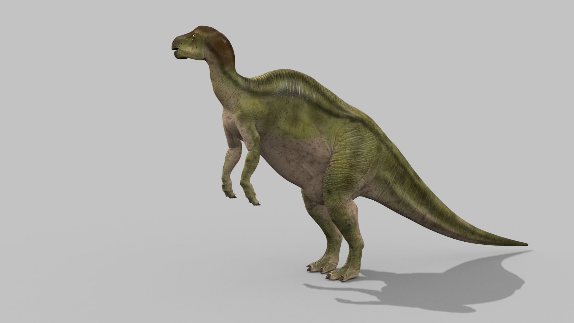 Edmontosaur Lives 8K - 3d animated model 3D model_10