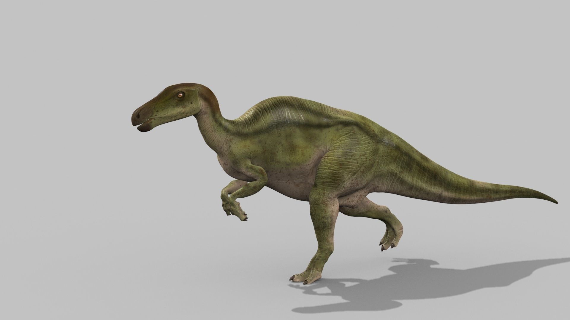 Edmontosaur Lives 8K - 3d animated model 3D model_12