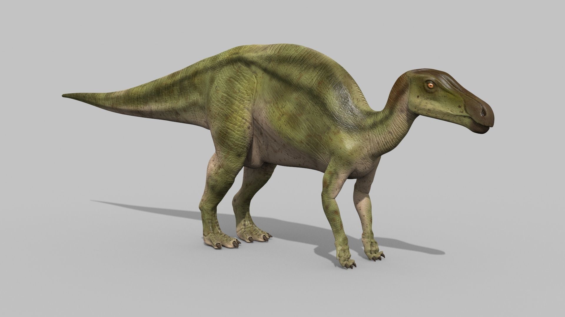 Edmontosaur Lives 8K - 3d animated model 3D model_7