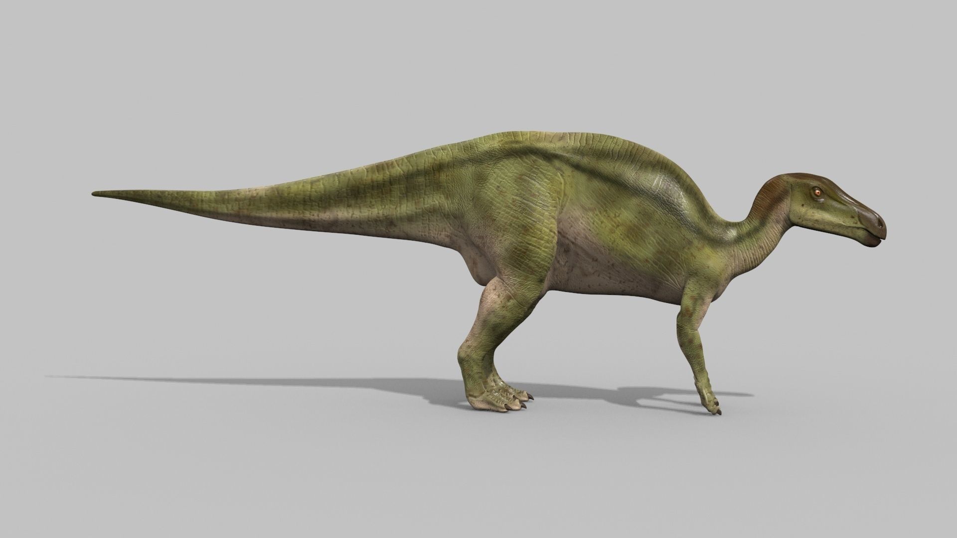 Edmontosaur Lives 8K - 3d animated model 3D model_4