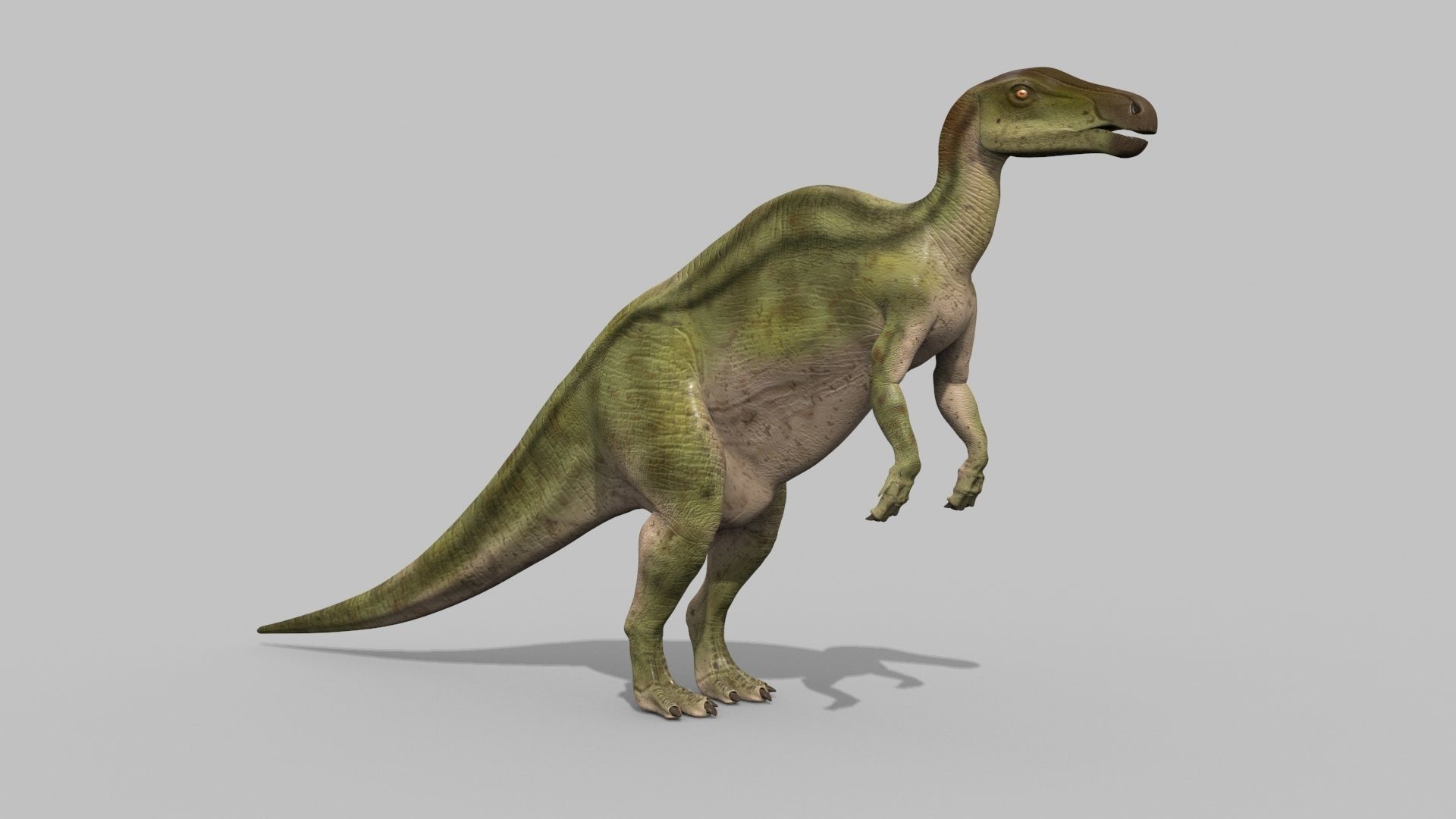 Edmontosaur Lives 8K - 3d animated model 3D model_13