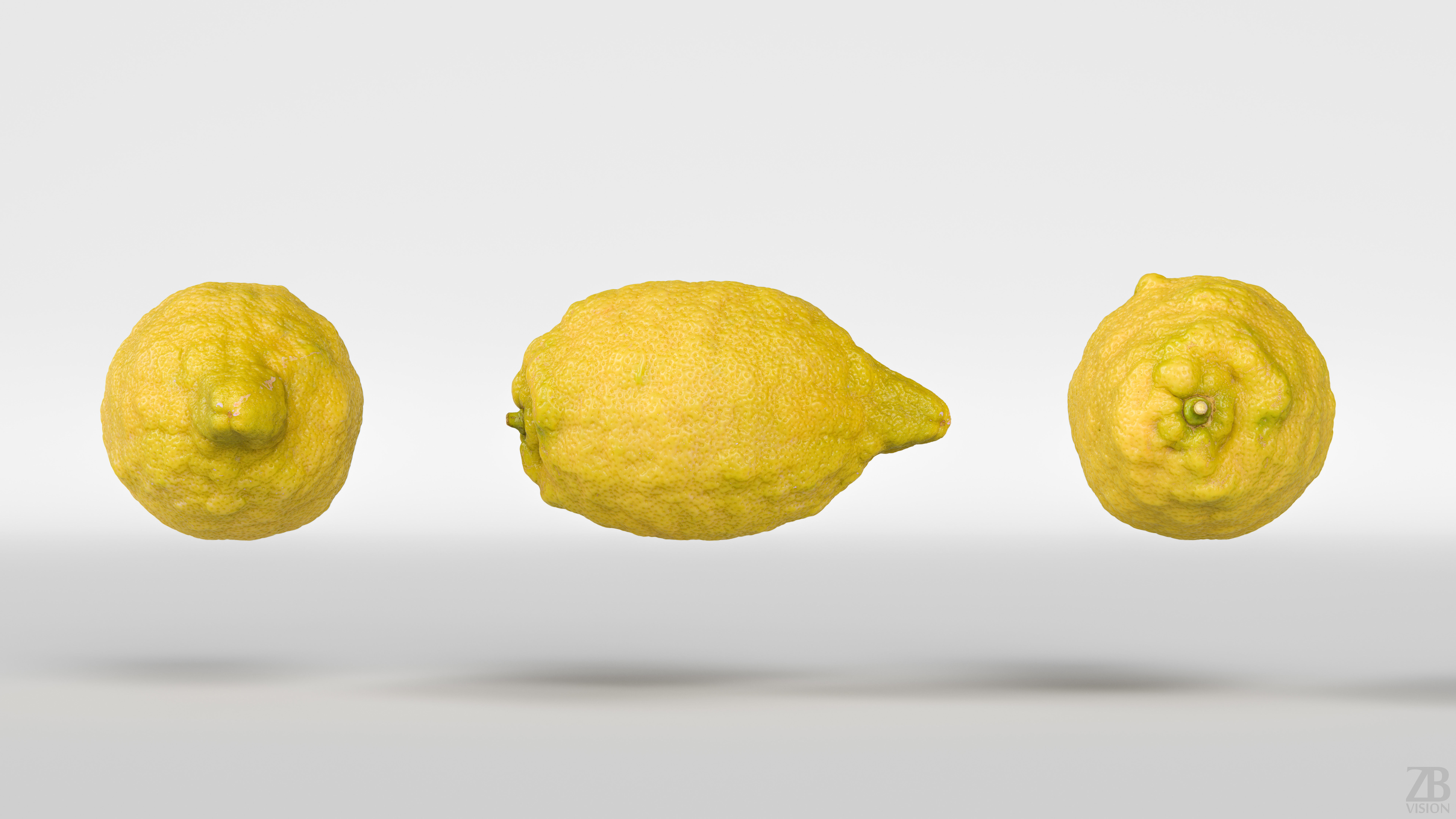Lemon 3D model_4