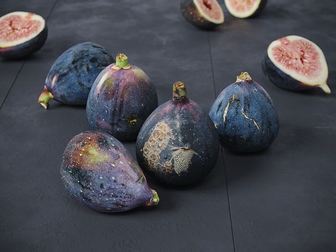 Fig fruit  3D model 2