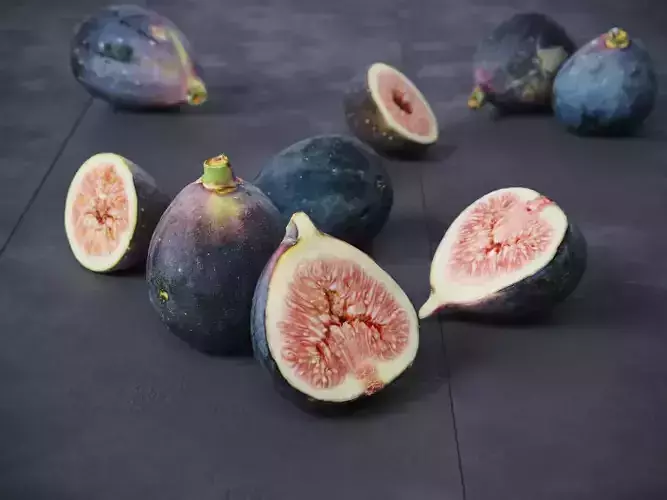 Fig fruit  3D model