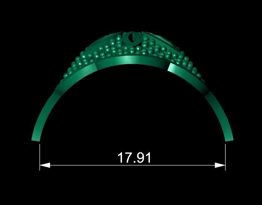 Ultra Vision Ring 810 3D print model_8