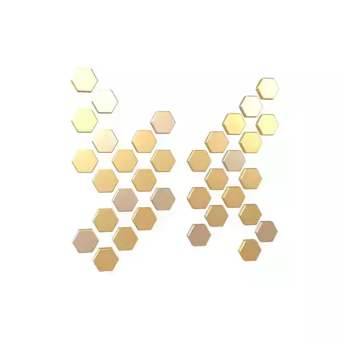 Hexagon Design Element V2 004