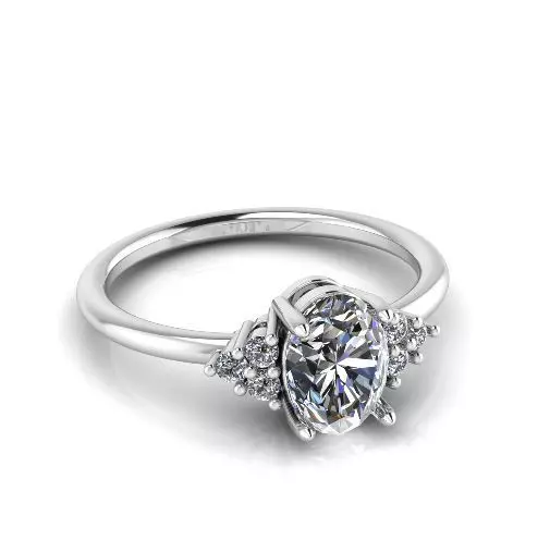 Engagement halo rings Model 3747 3D print model_0