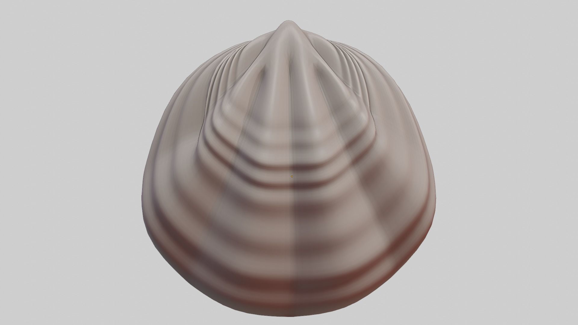Fan Sea Shell  3D model_5