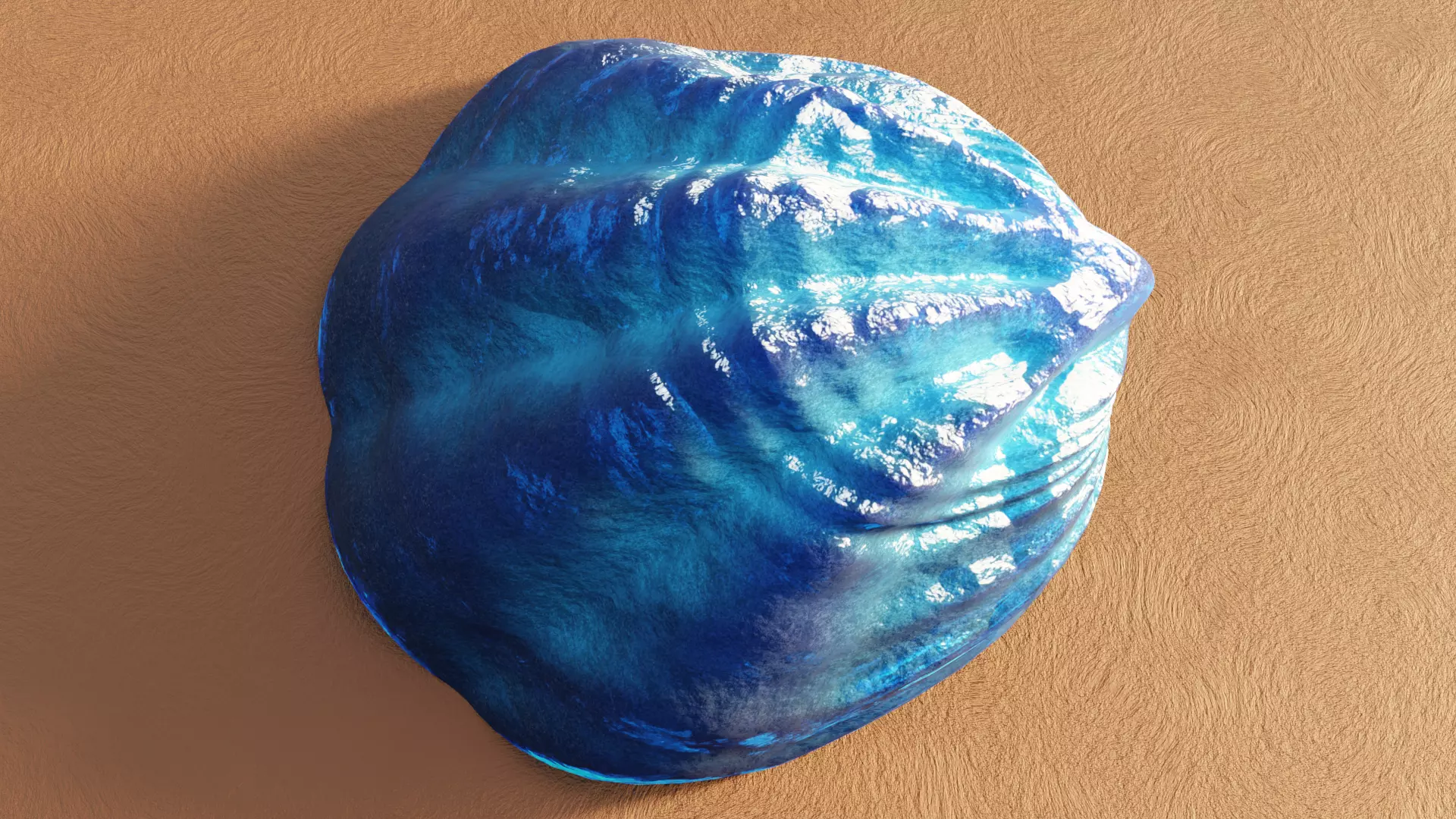 Fan Sea Shell  3D model_0