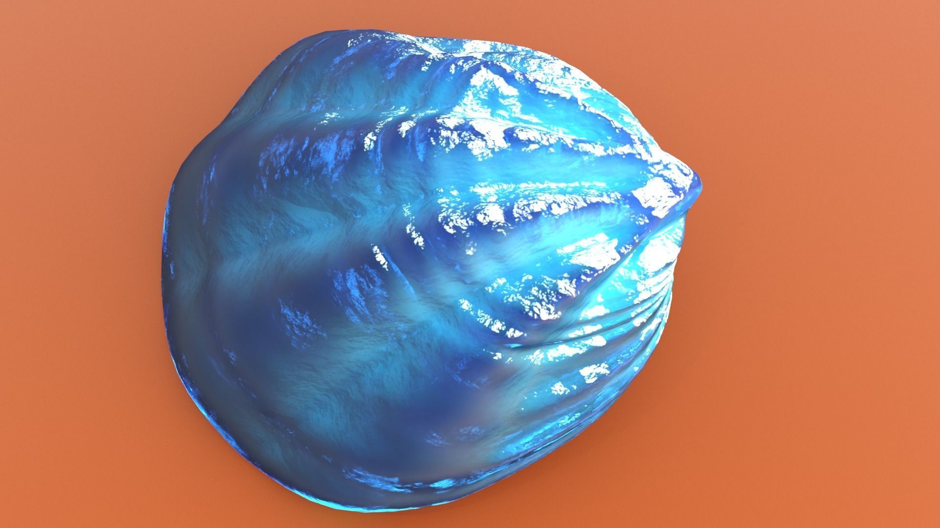 Fan Sea Shell  3D model_11