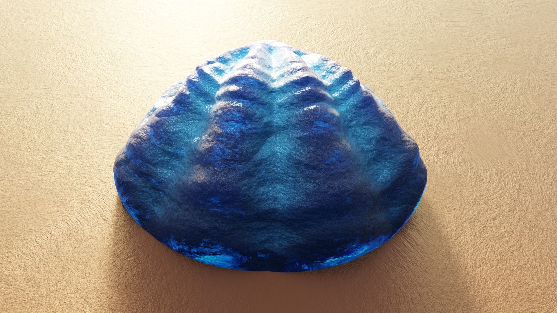 Fan Sea Shell  3D model_4