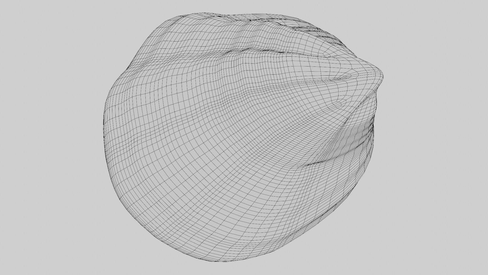 Fan Sea Shell  3D model_14