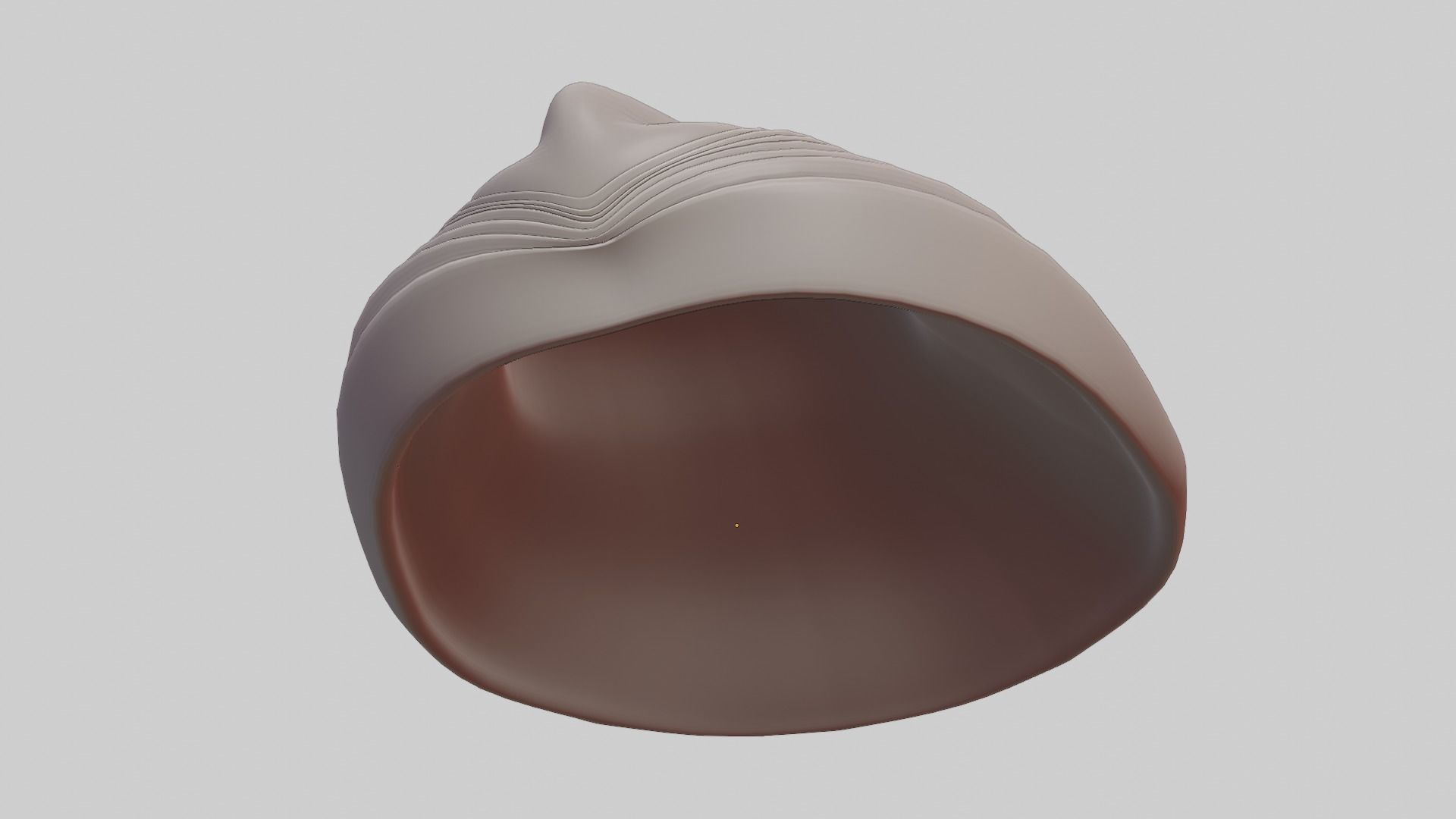 Fan Sea Shell  3D model_7