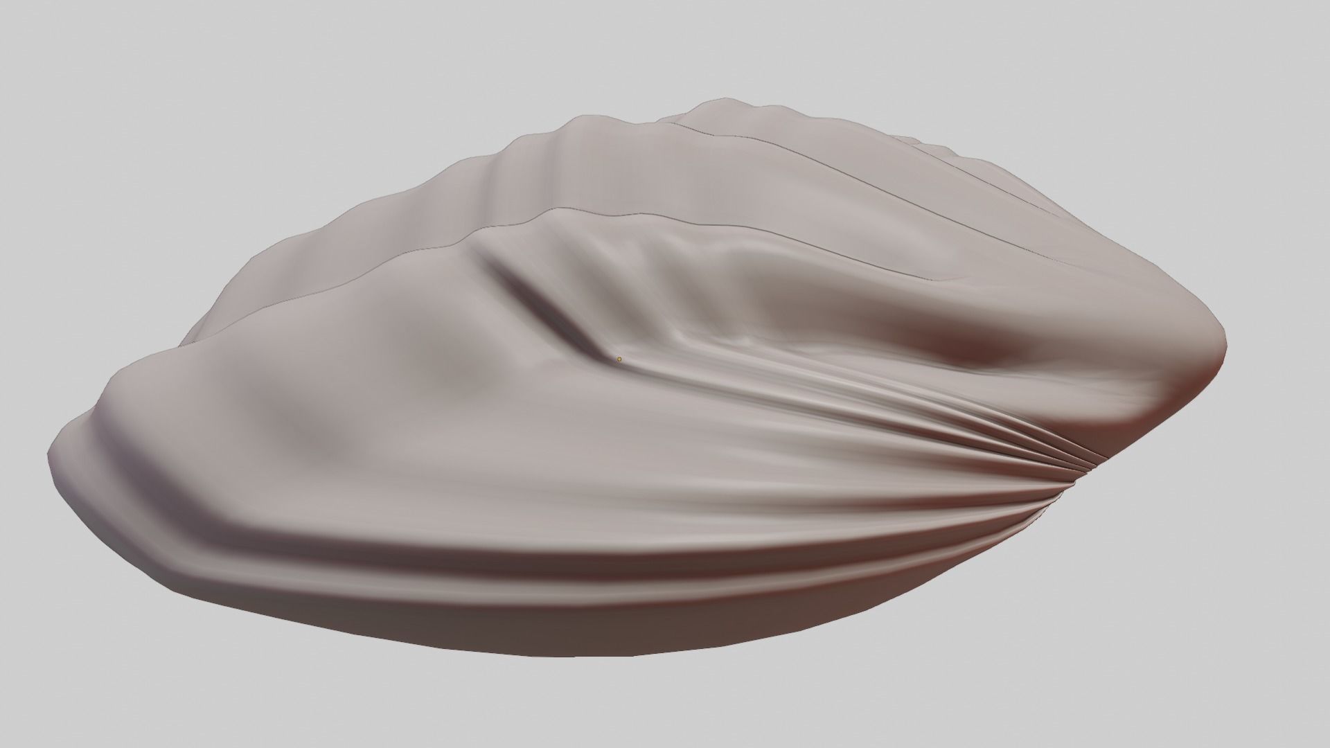 Fan Sea Shell  3D model_8