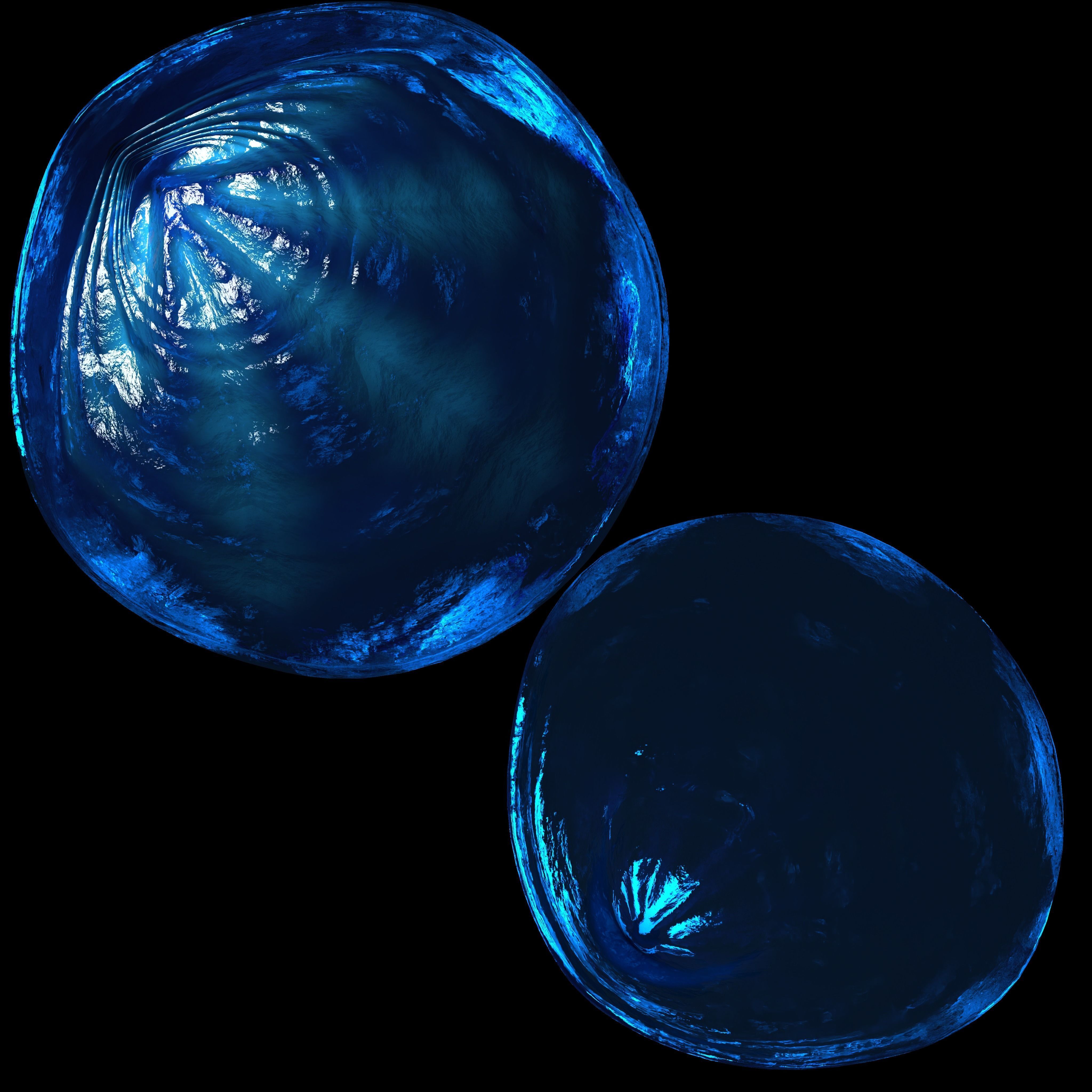 Fan Sea Shell  3D model_12