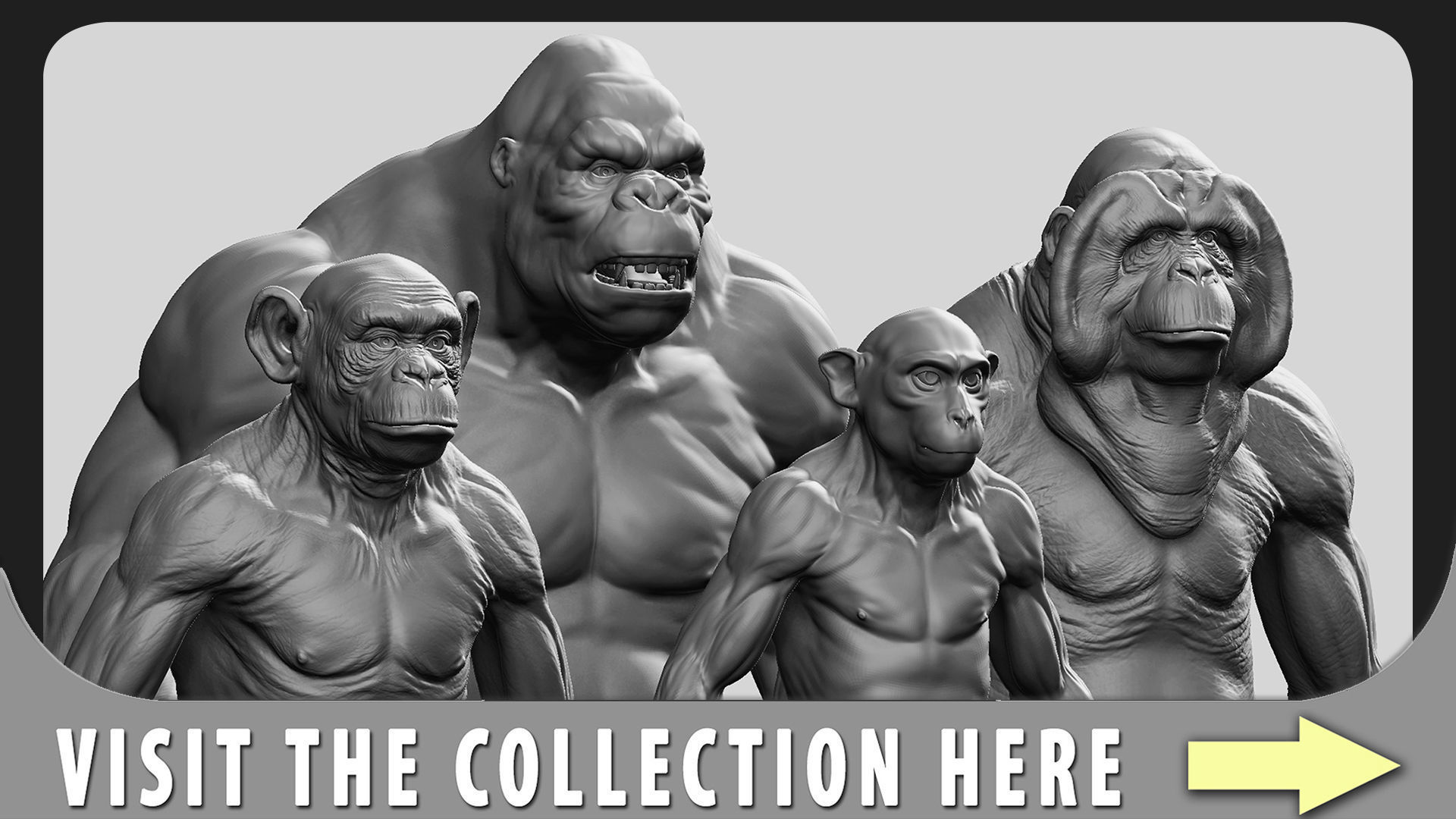 Chimpanzee 3D model_8