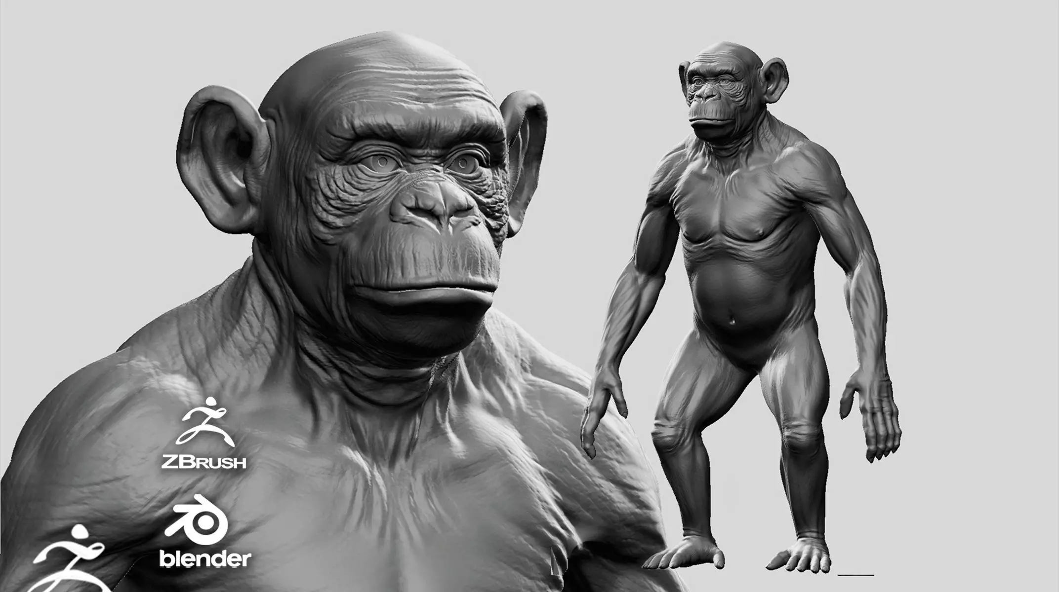 Chimpanzee 3D model_0