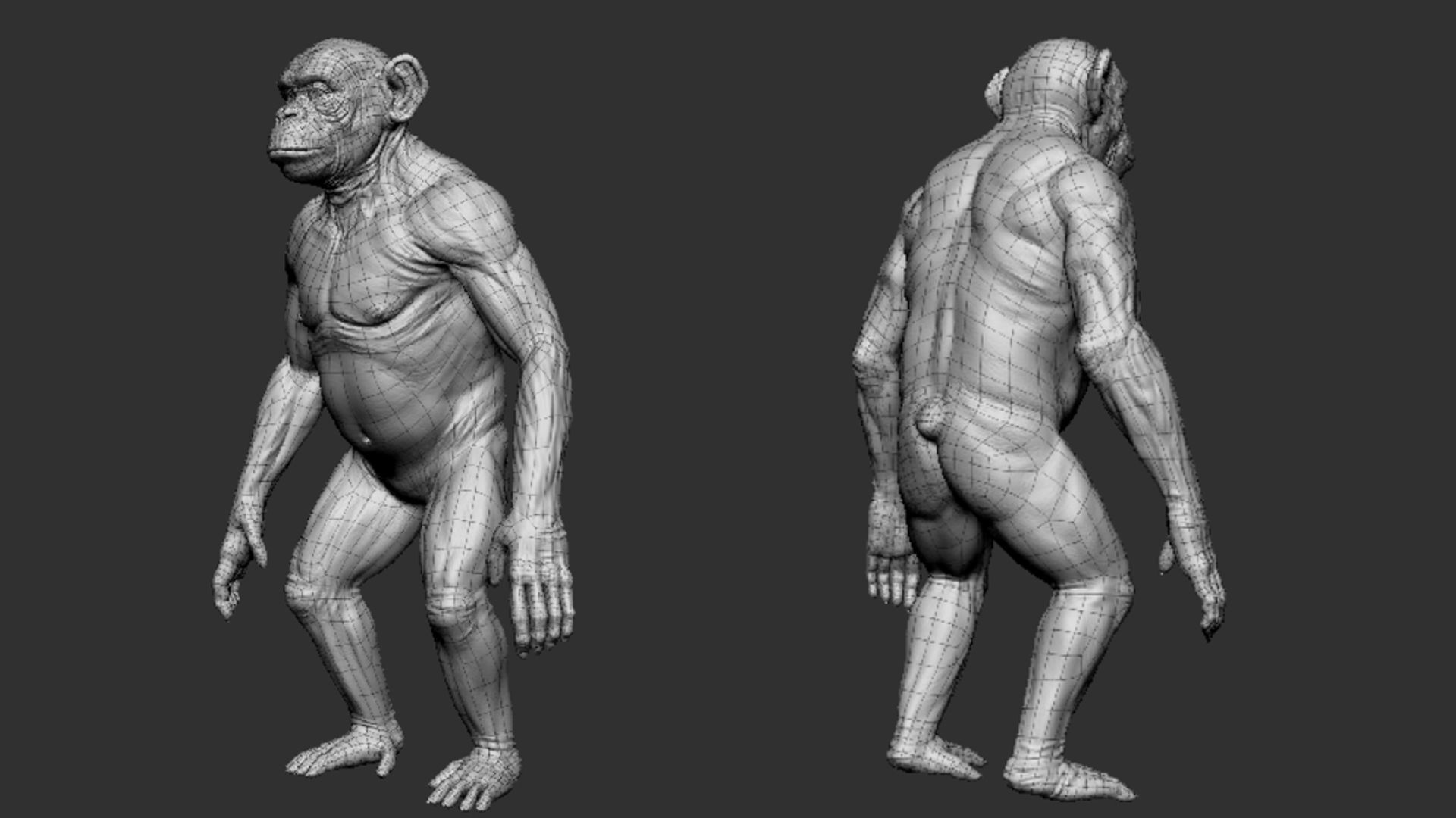Chimpanzee 3D model_4