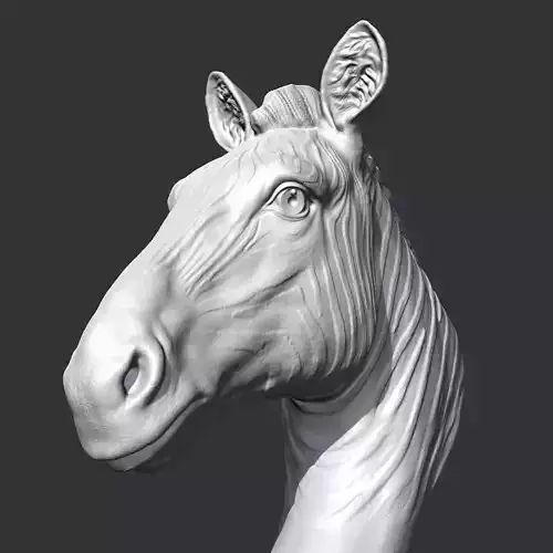 Zebra Head AM19 3D print model